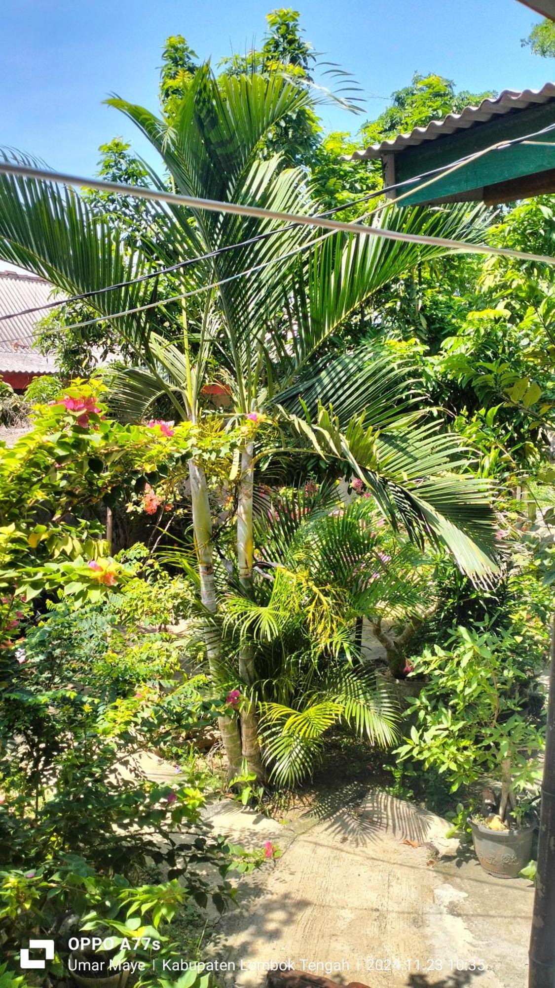 Nadil Homestay Kuta  Exterior photo
